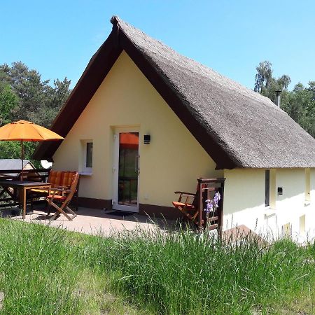 Apartament Christianshof Insel Usedom Stoben Zewnętrze zdjęcie